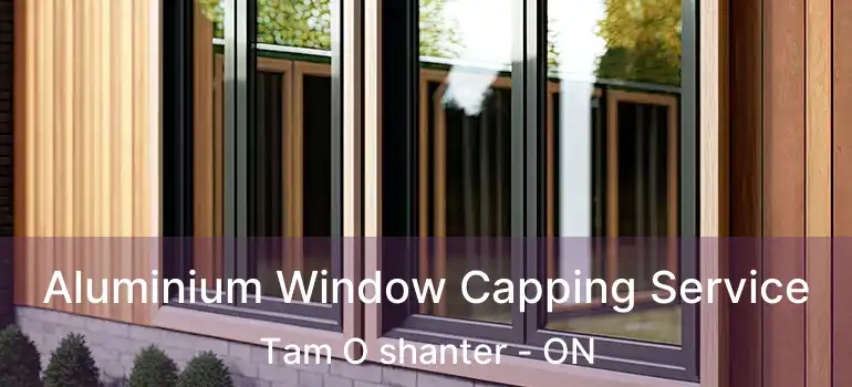  Aluminium Window Capping Service Tam O shanter - ON