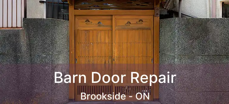 Barn Door Repair Brookside - ON