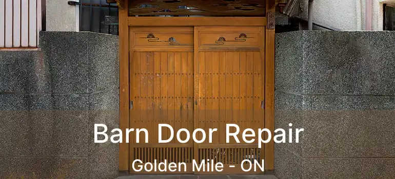  Barn Door Repair Golden Mile - ON