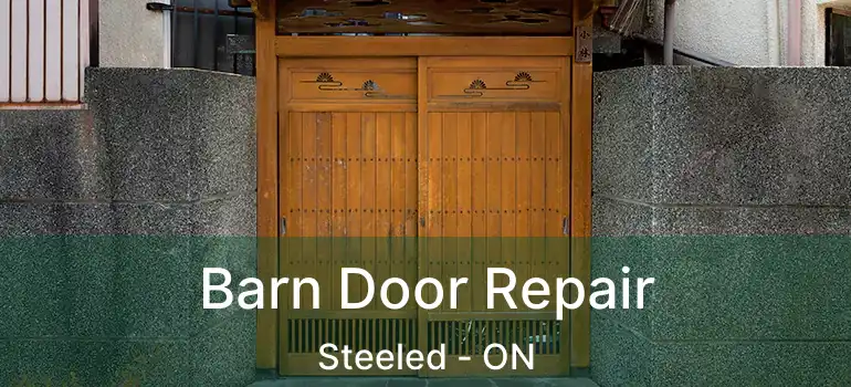  Barn Door Repair Steeled - ON