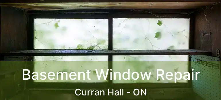  Basement Window Repair Curran Hall - ON