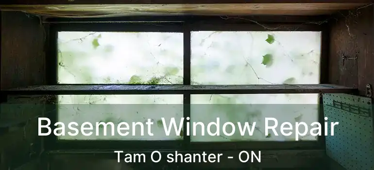  Basement Window Repair Tam O shanter - ON