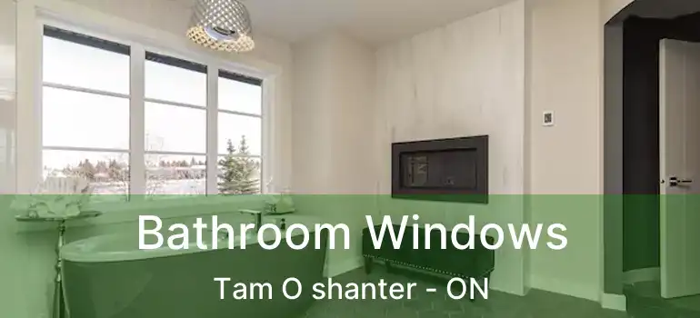 Bathroom Windows Tam O shanter - ON