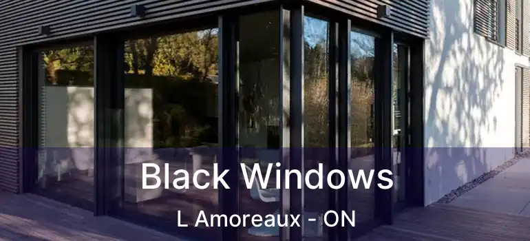  Black Windows L Amoreaux - ON
