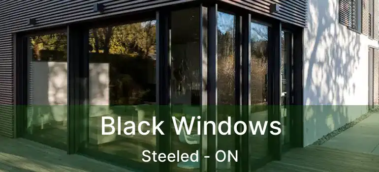  Black Windows Steeled - ON