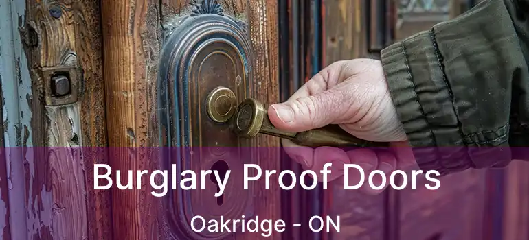  Burglary Proof Doors Oakridge - ON