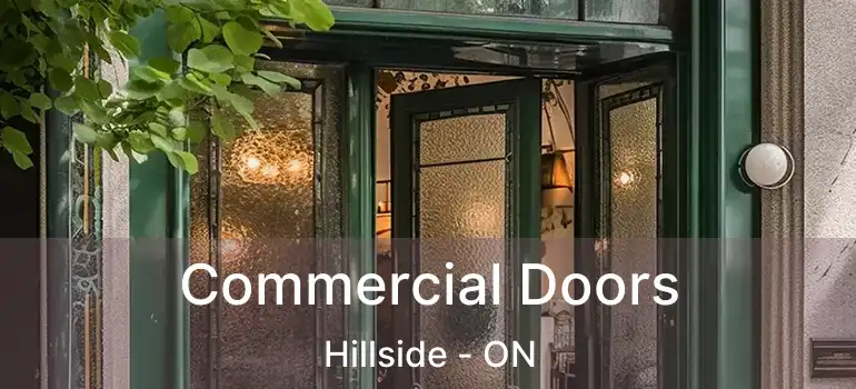  Commercial Doors Hillside - ON