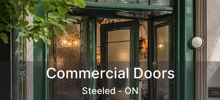  Commercial Doors Steeled - ON