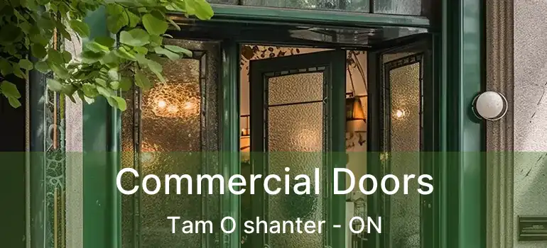  Commercial Doors Tam O shanter - ON
