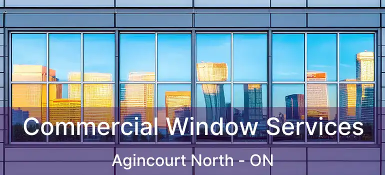  Commercial Window Services Agincourt North - ON