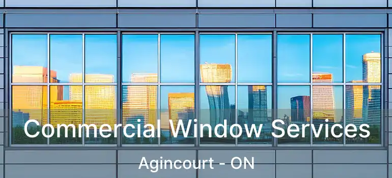  Commercial Window Services Agincourt - ON