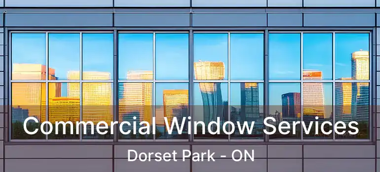  Commercial Window Services Dorset Park - ON
