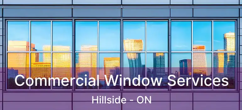  Commercial Window Services Hillside - ON