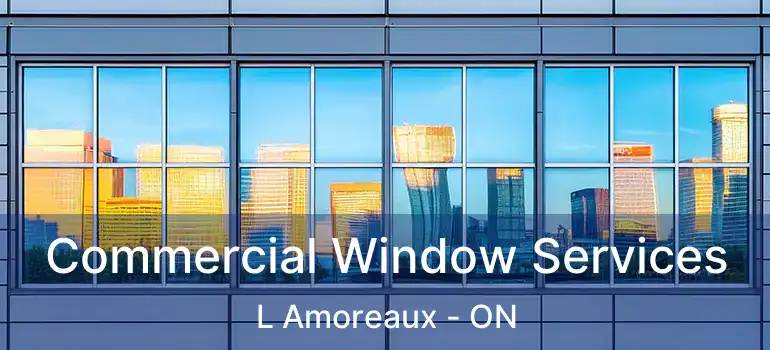  Commercial Window Services L Amoreaux - ON