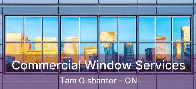  Commercial Window Services Tam O shanter - ON