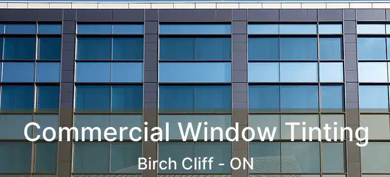  Commercial Window Tinting Birch Cliff - ON