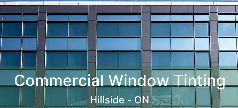  Commercial Window Tinting Hillside - ON