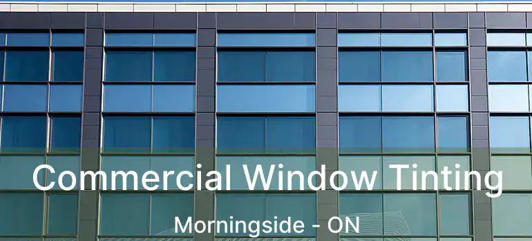  Commercial Window Tinting Morningside - ON