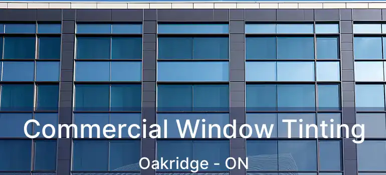  Commercial Window Tinting Oakridge - ON