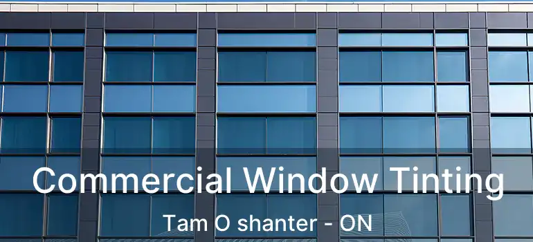  Commercial Window Tinting Tam O shanter - ON