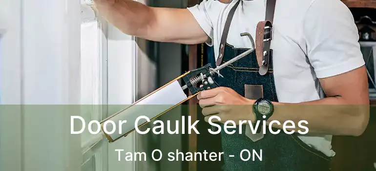  Door Caulk Services Tam O shanter - ON