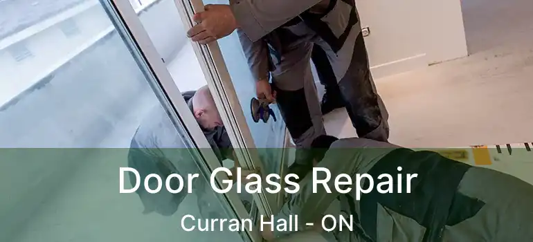  Door Glass Repair Curran Hall - ON