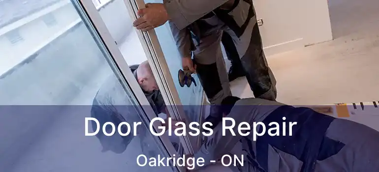 Door Glass Repair Oakridge - ON