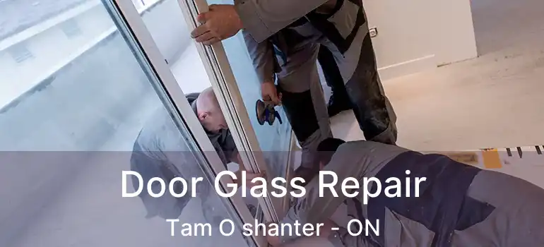  Door Glass Repair Tam O shanter - ON