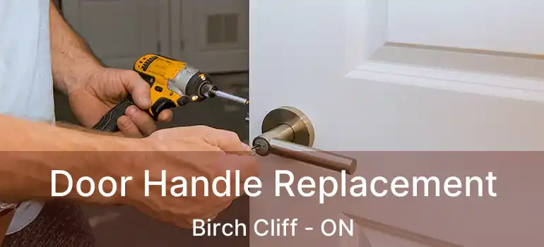  Door Handle Replacement Birch Cliff - ON