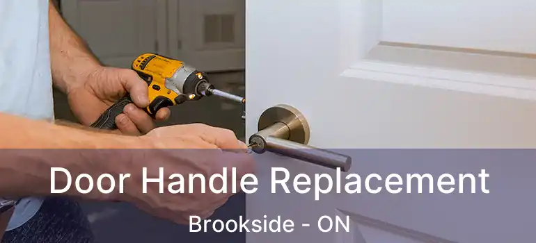  Door Handle Replacement Brookside - ON