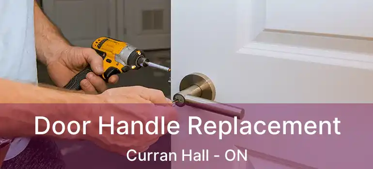  Door Handle Replacement Curran Hall - ON