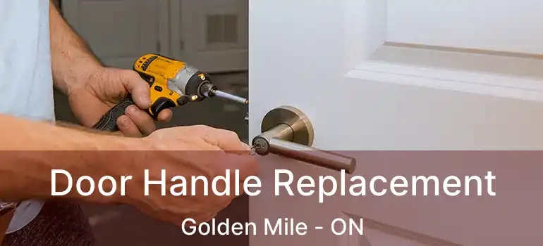  Door Handle Replacement Golden Mile - ON