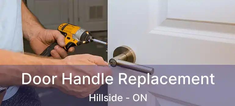  Door Handle Replacement Hillside - ON