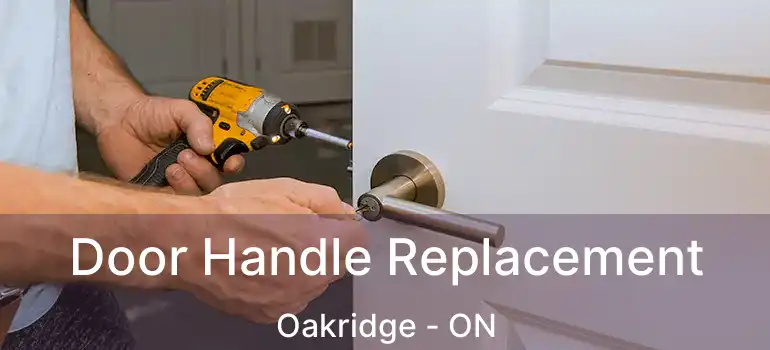  Door Handle Replacement Oakridge - ON