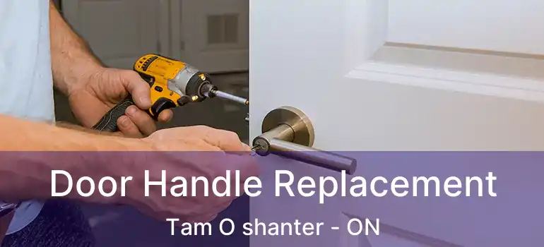 Door Handle Replacement Tam O shanter - ON