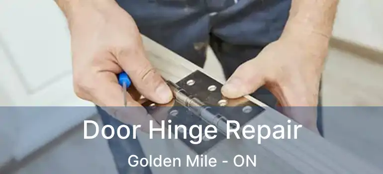  Door Hinge Repair Golden Mile - ON