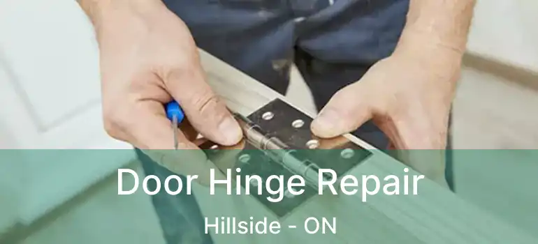 Door Hinge Repair Hillside - ON