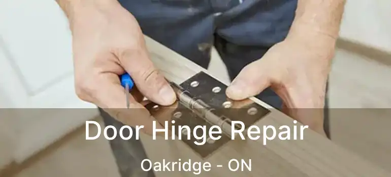  Door Hinge Repair Oakridge - ON
