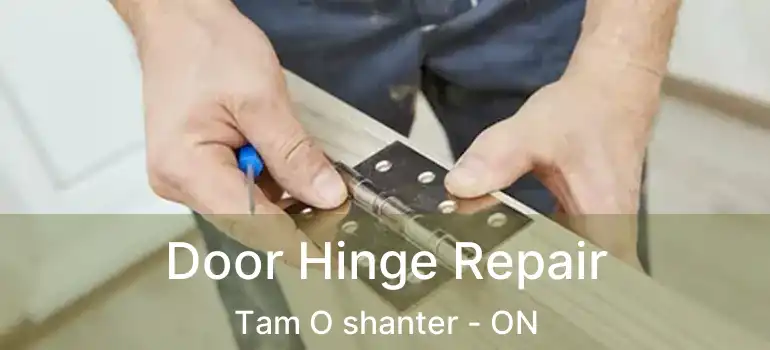  Door Hinge Repair Tam O shanter - ON