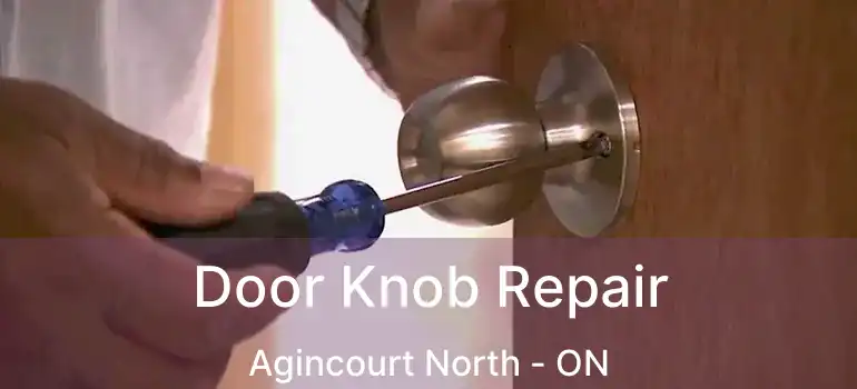  Door Knob Repair Agincourt North - ON