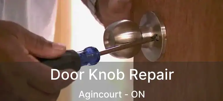  Door Knob Repair Agincourt - ON