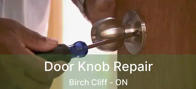  Door Knob Repair Birch Cliff - ON