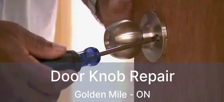  Door Knob Repair Golden Mile - ON