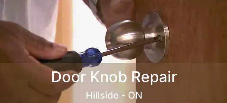  Door Knob Repair Hillside - ON