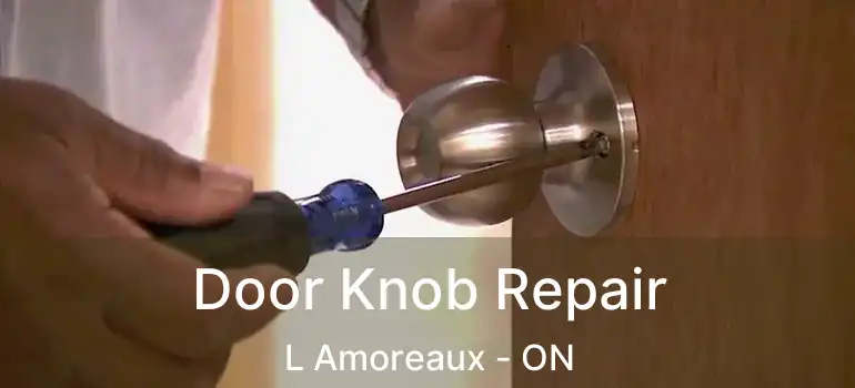  Door Knob Repair L Amoreaux - ON