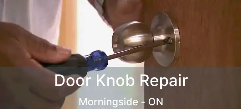  Door Knob Repair Morningside - ON