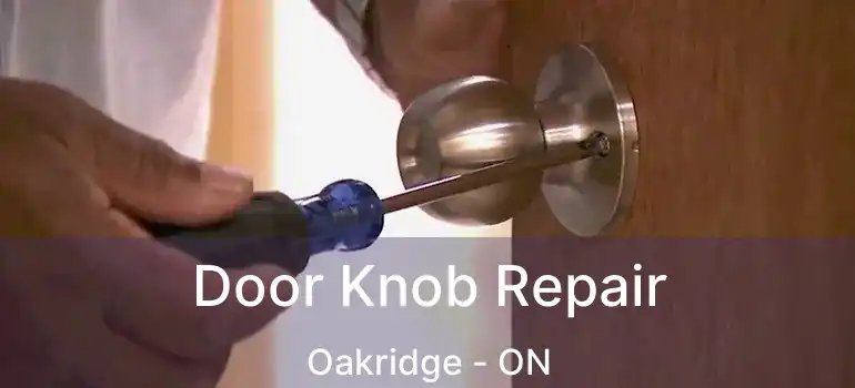  Door Knob Repair Oakridge - ON