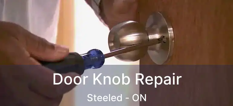  Door Knob Repair Steeled - ON