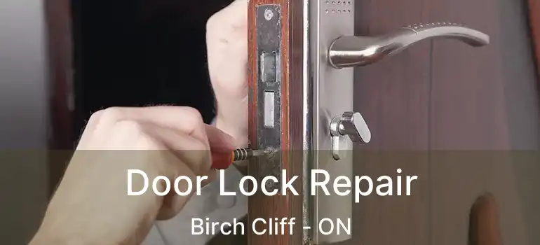  Door Lock Repair Birch Cliff - ON