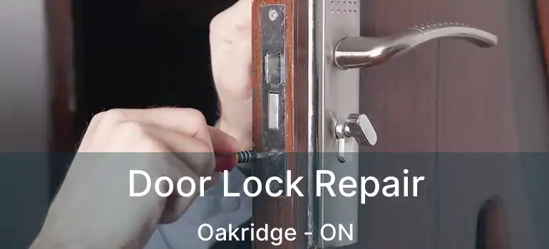 Door Lock Repair Oakridge - ON